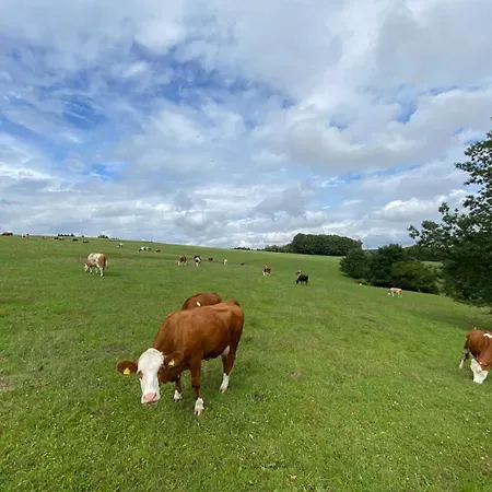 Willkommen In Der Mit Atemberaubendem Blick In Huckeswagen