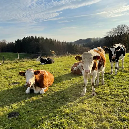 Willkommen In Der Mit Atemberaubendem Blick In