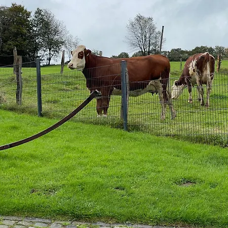 Daire Willkommen In Der Mit Atemberaubendem Blick In