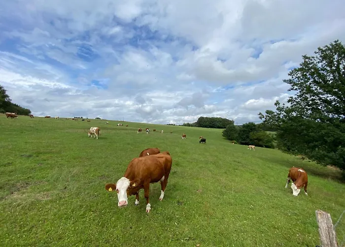 Willkommen In Der Mit Atemberaubendem Blick In Huckeswagen