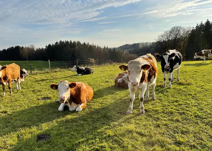 Willkommen In Der Mit Atemberaubendem Blick In