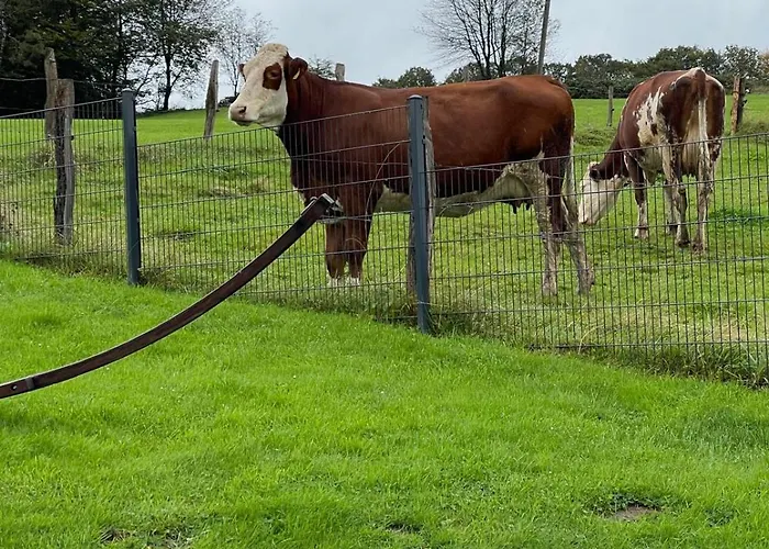 Appartamento Willkommen In Der Mit Atemberaubendem Blick In